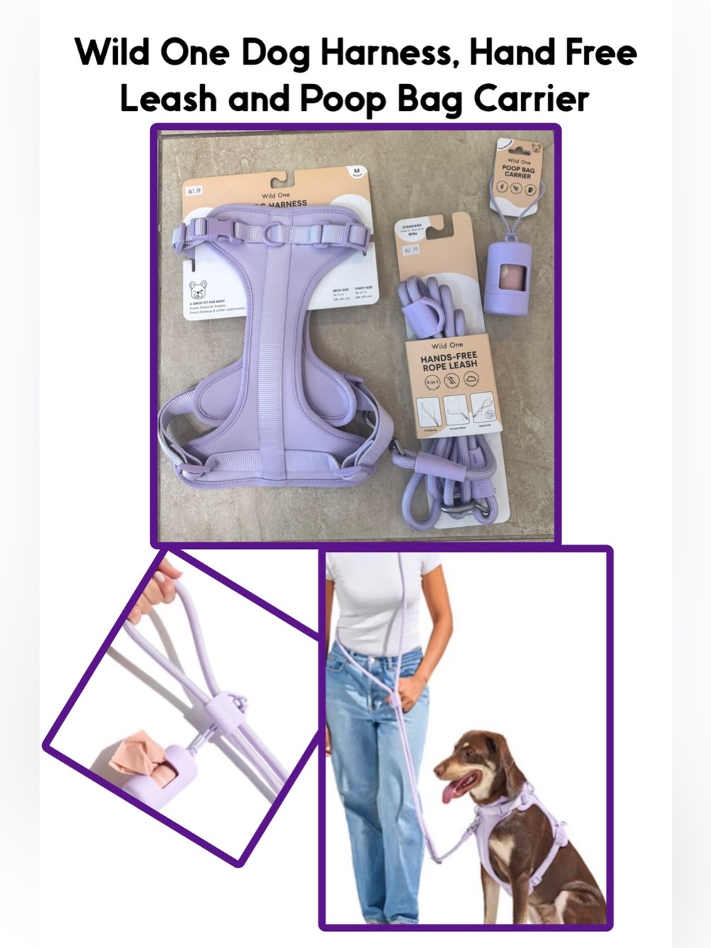 Wild One Dog Harness, Leash and Poop Bag Carrier